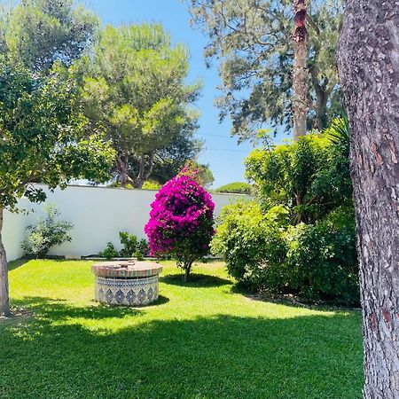 Brisa Home チクラナ・デ・ラ・フロンテーラ エクステリア 写真